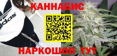 apvp Канаш