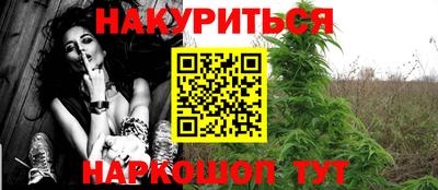 apvp Канаш
