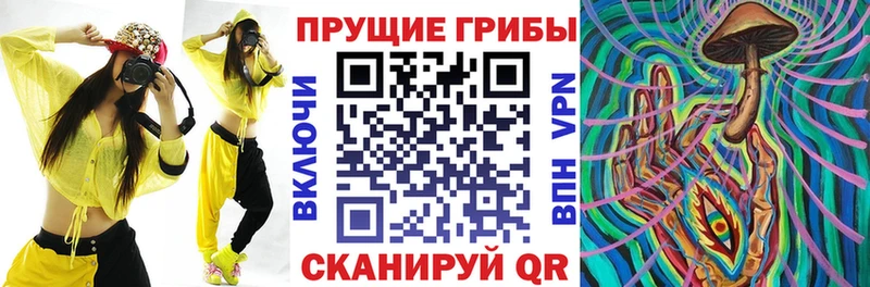 Псилоцибиновые грибы Psilocybe  Чапаевск 