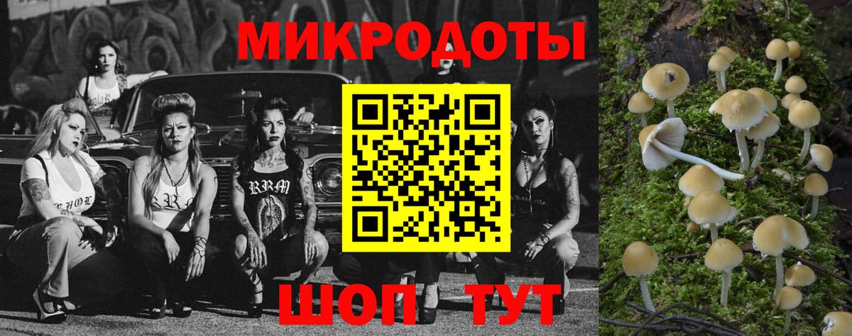 Чапаевск  Псилоцибиновые грибы Magic Shrooms  Вход с VPN 